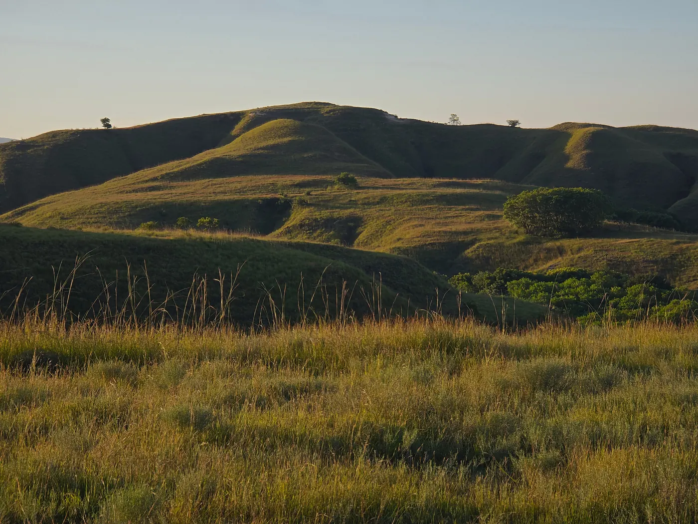 Hillside above the coast where the Sandalwoods plots are located